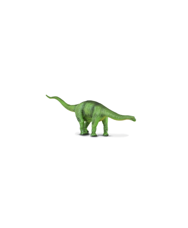 88253 Cetiosaurus